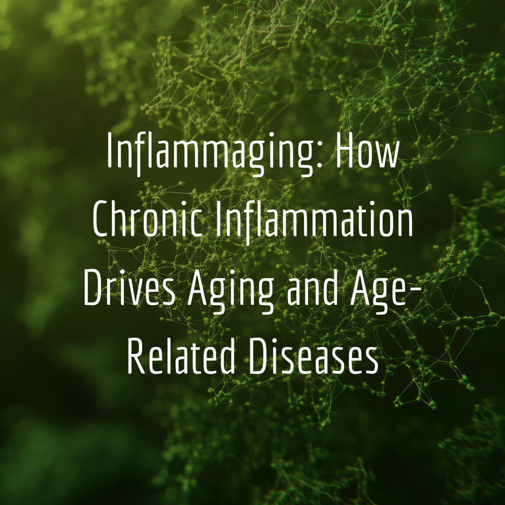 Inflammaging: How Chronic Inflammation Drives Aging and Age-Related Diseases
