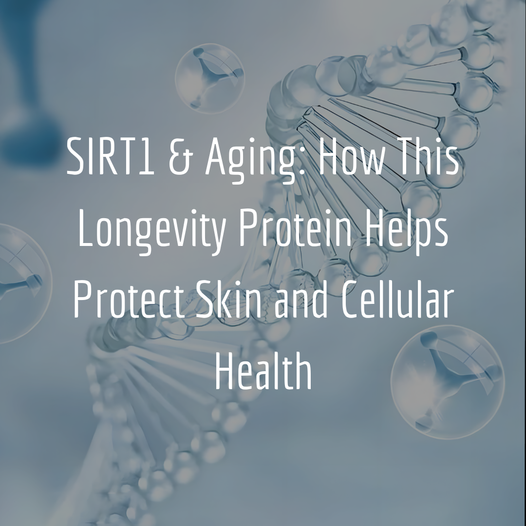 SIRT1 and Aging: How This Longevity Protein Helps Protect Skin and Cellular Health