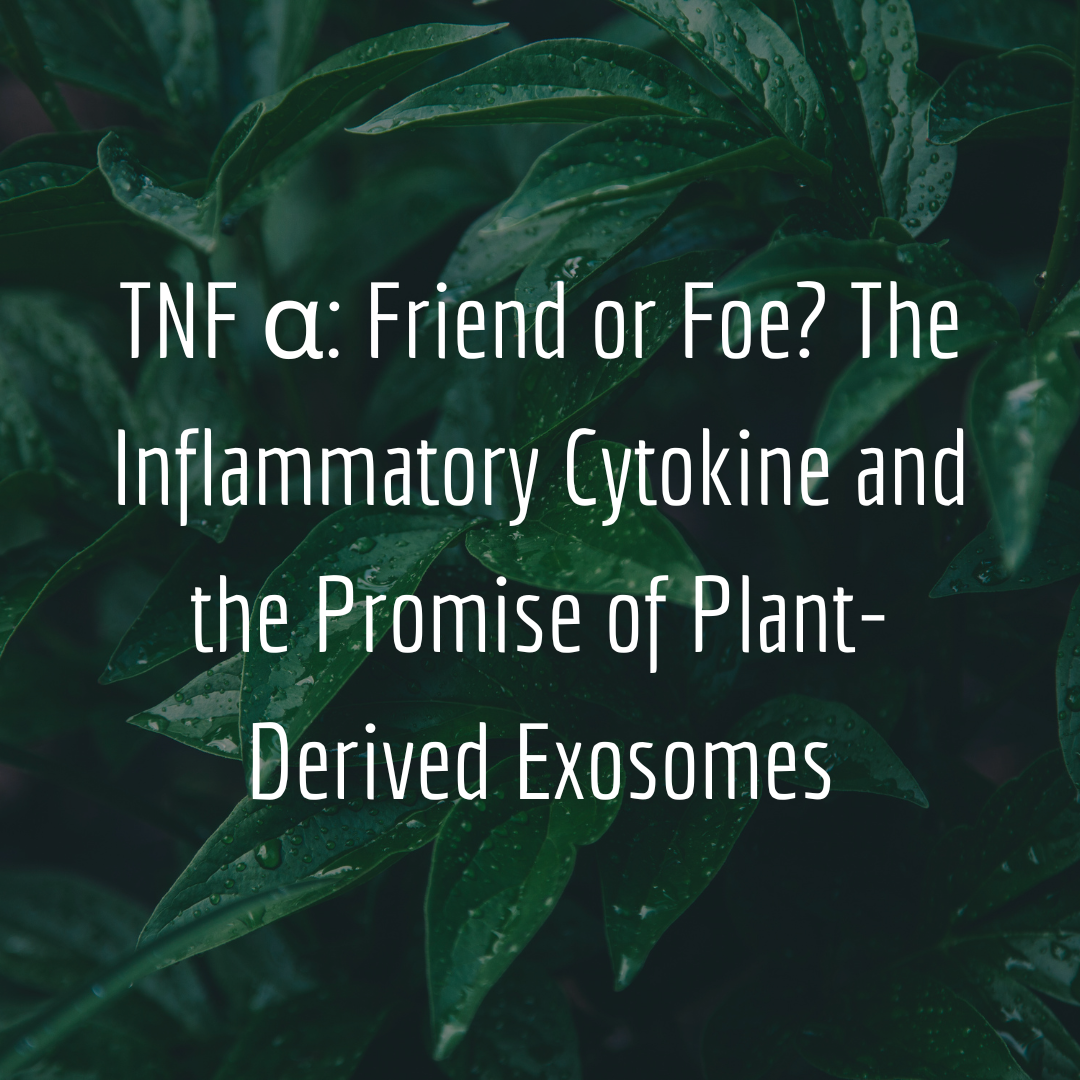 TNF α: Friend or Foe? The Inflammatory Cytokine and the Promise of Plant-Derived Exosomes
