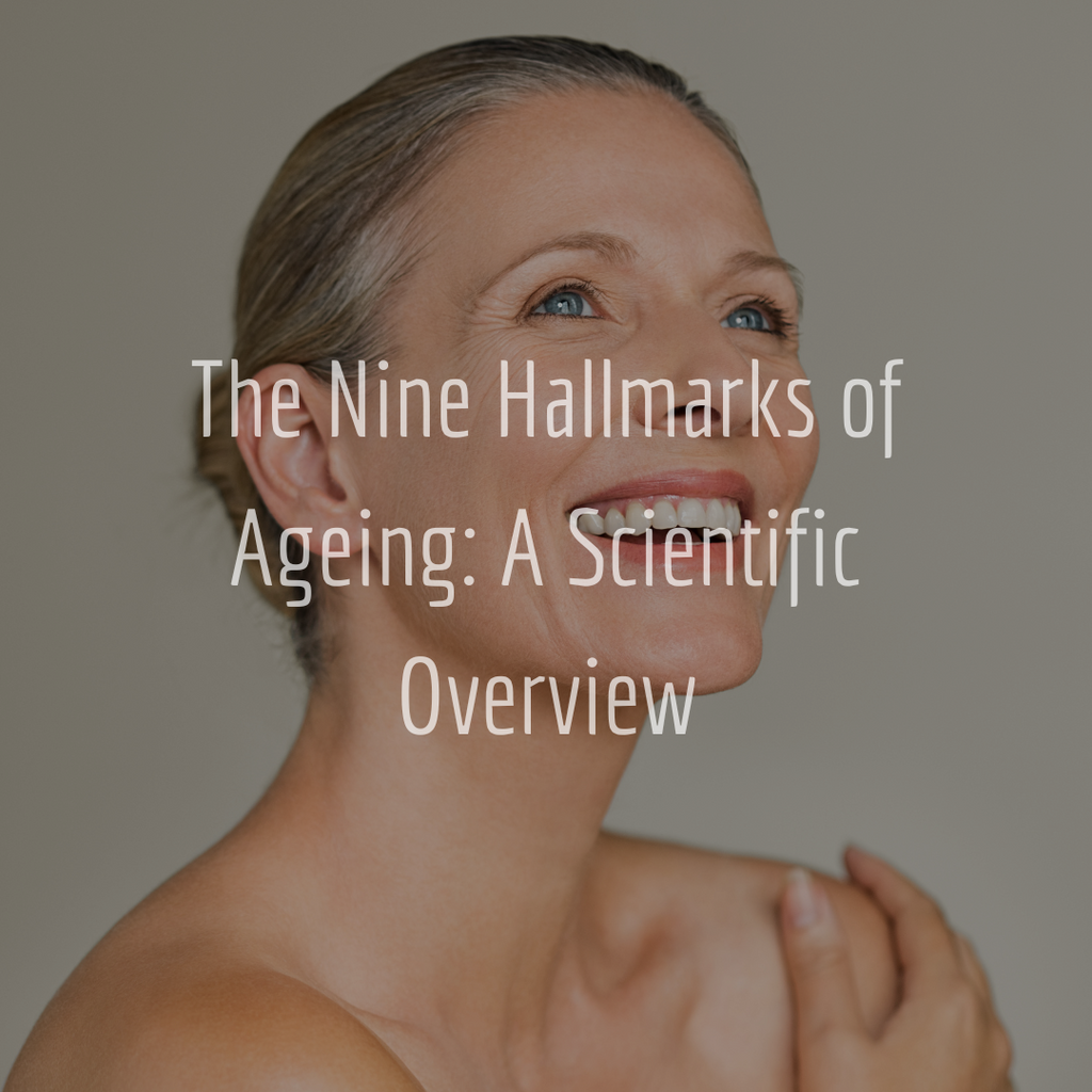 The Nine Hallmarks of Ageing: A Scientific Overview