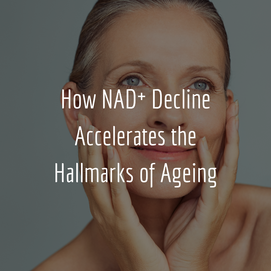 How NAD⁺ Decline Accelerates the Hallmarks of Ageing